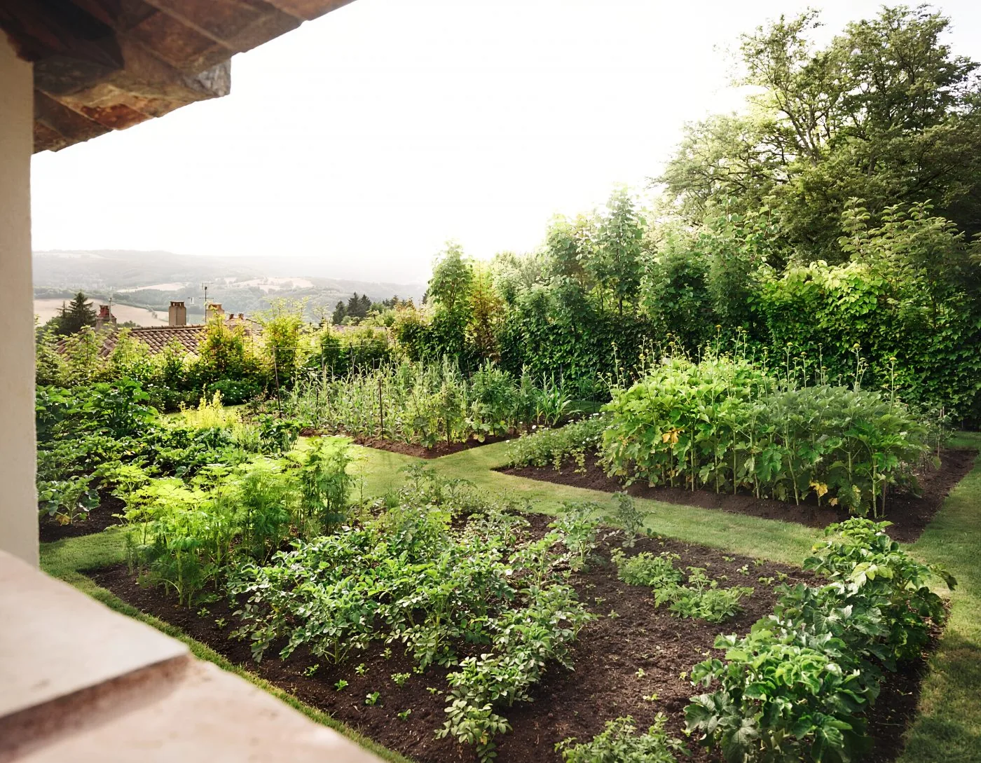 Jardin complet, terrasse et massifs